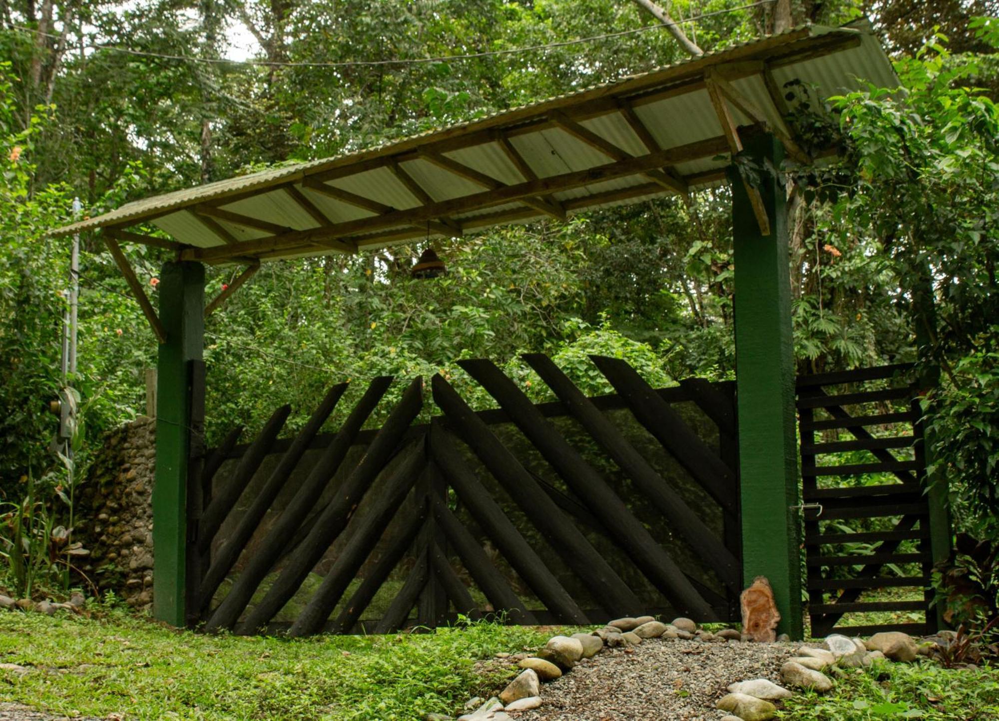 Smile Jungle Hostel Puerto Viejo de Talamanca Exteriör bild