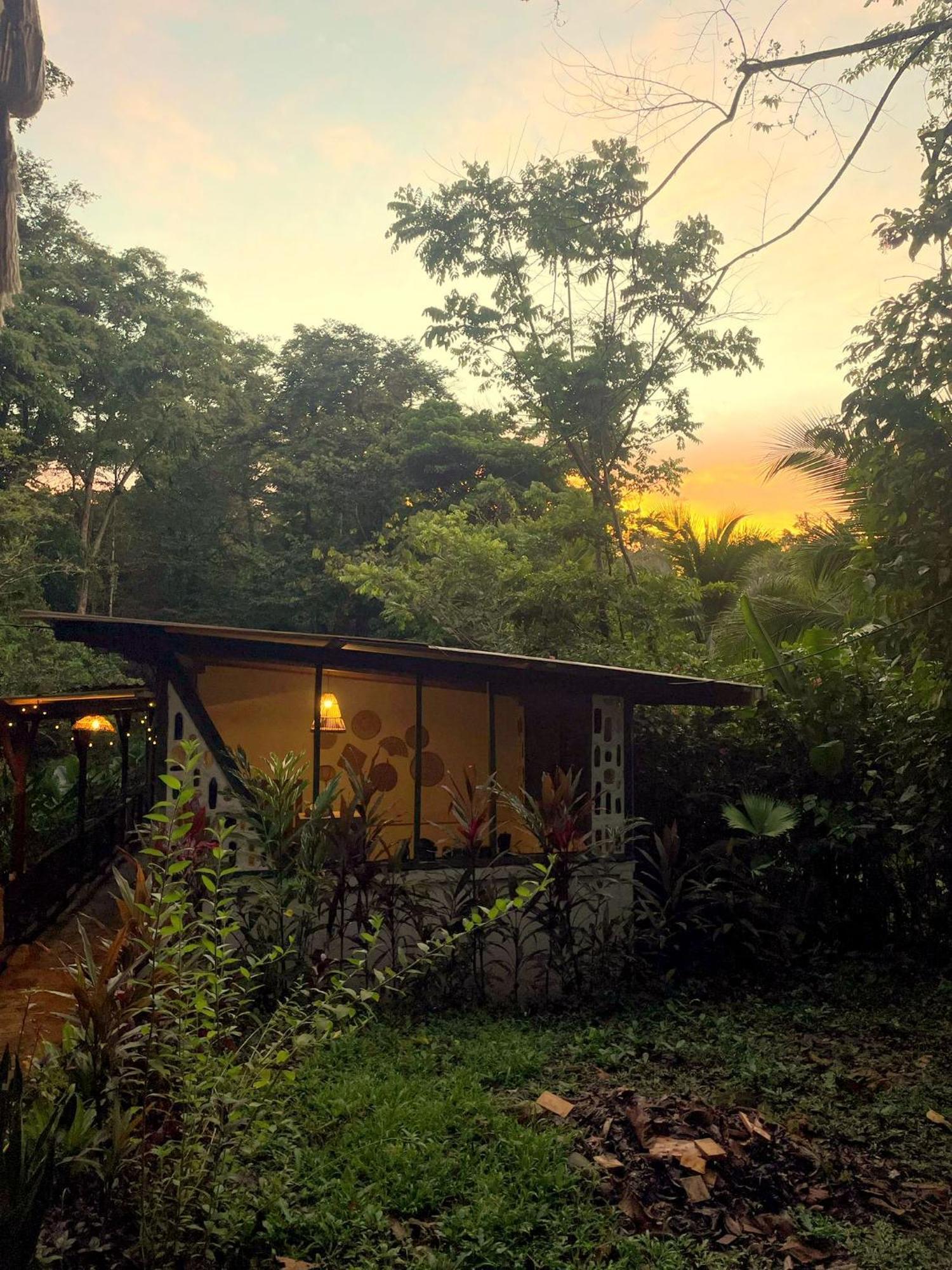 Smile Jungle Hostel Puerto Viejo de Talamanca Exteriör bild